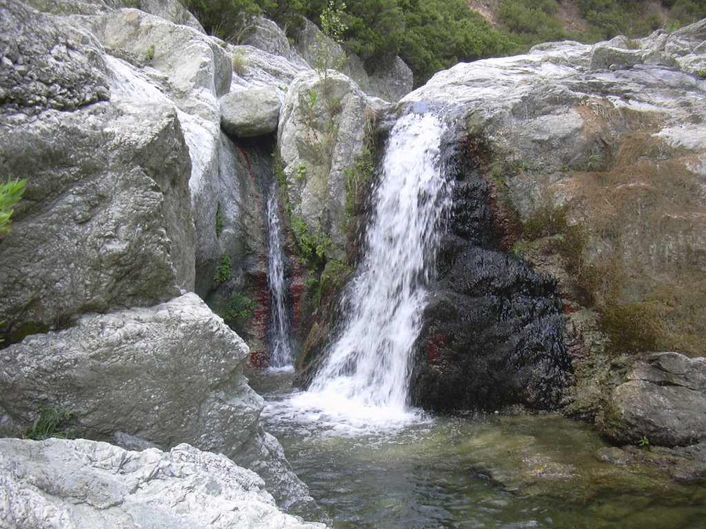 Alla ricerca di Silimò